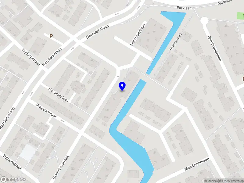 Danilo Bliek Stemacteren en Voiceovers