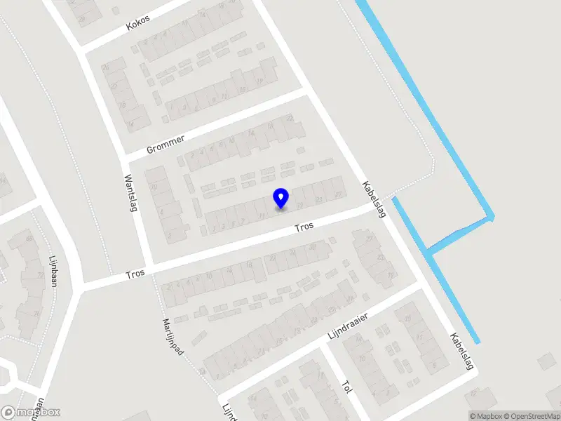 Nieuw bedrijf TeachwithRoos