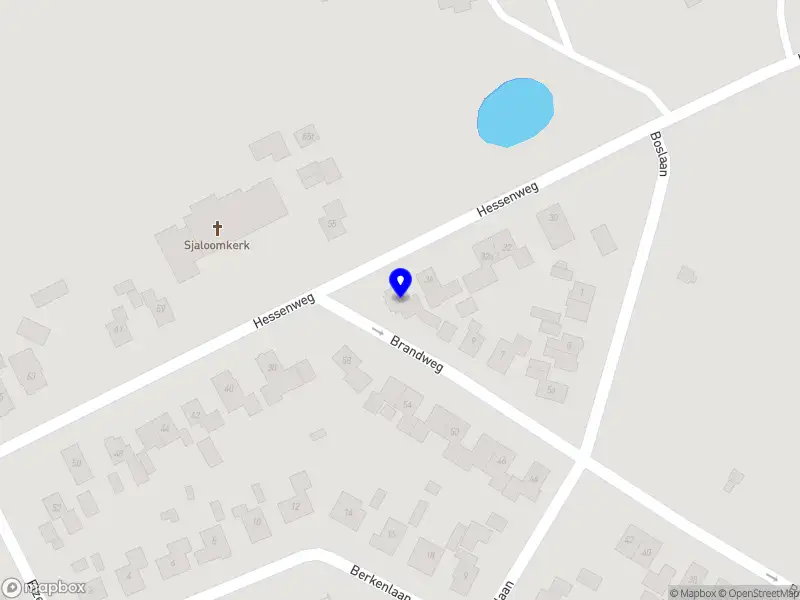 Stichting Heemse Viert