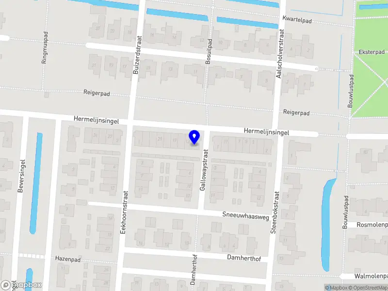 Fagus Sylvatica B.V.