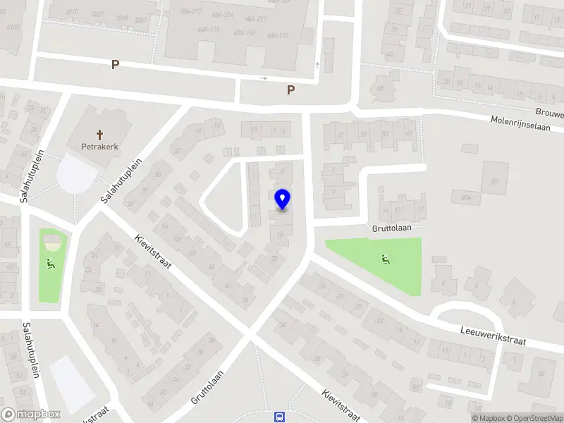 Defined Beauty By Dana