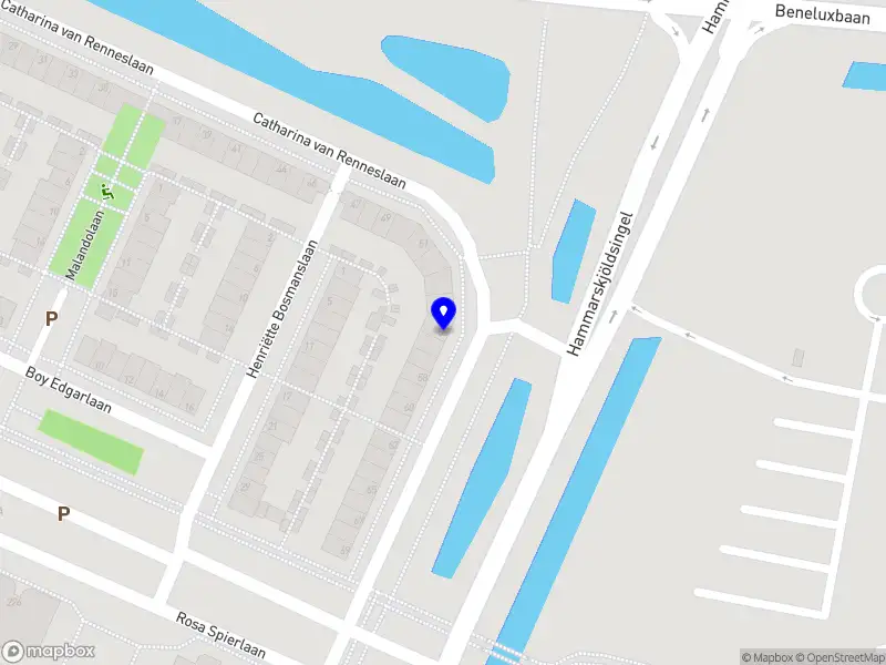 Salomey Xoese Adjaku