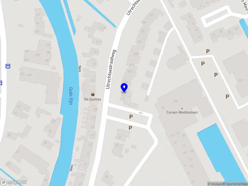 Alexandra Breukel Trainer en Coach