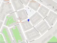 Holland Flowers & Seeds Company