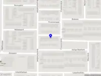 Luzora raamdecoratie