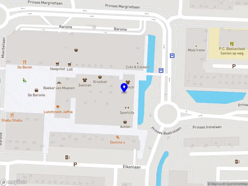 R. Vane Holding B.V.