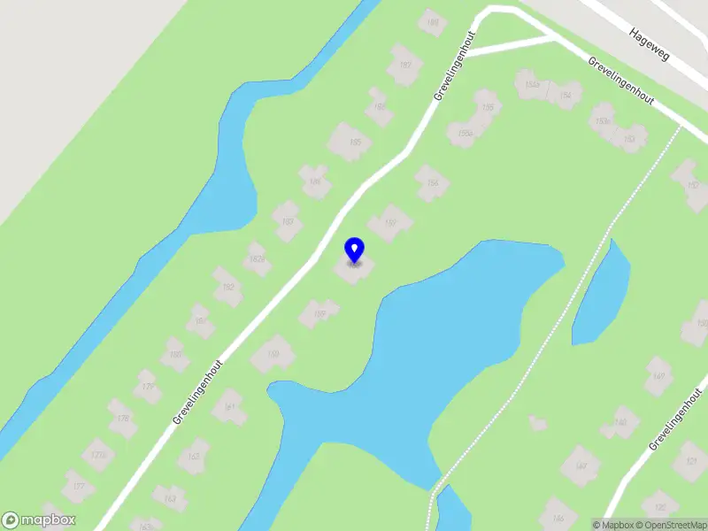 Stichting Nederlandstalige Literatuur Transnationaal