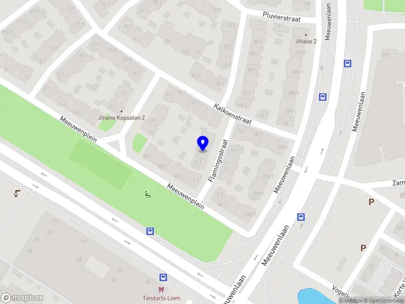 Nieuw bedrijf Stichting La Leona