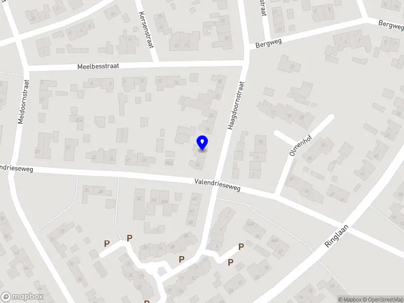 A & F International B.V.