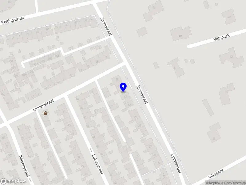 Amazing Frisbee Dogs