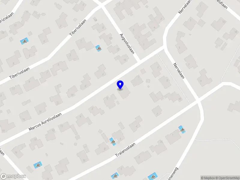 Lieke Poeth scholing en supervisie