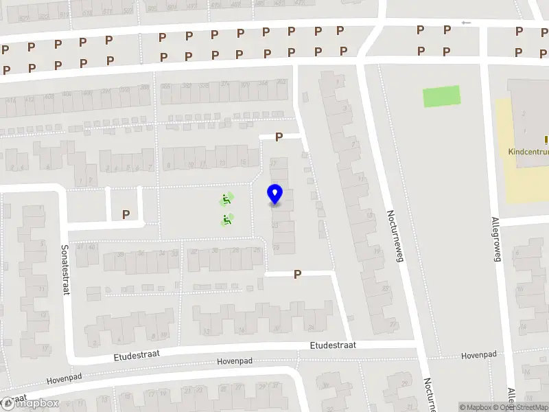 NXXT Level Triathlon Coaching