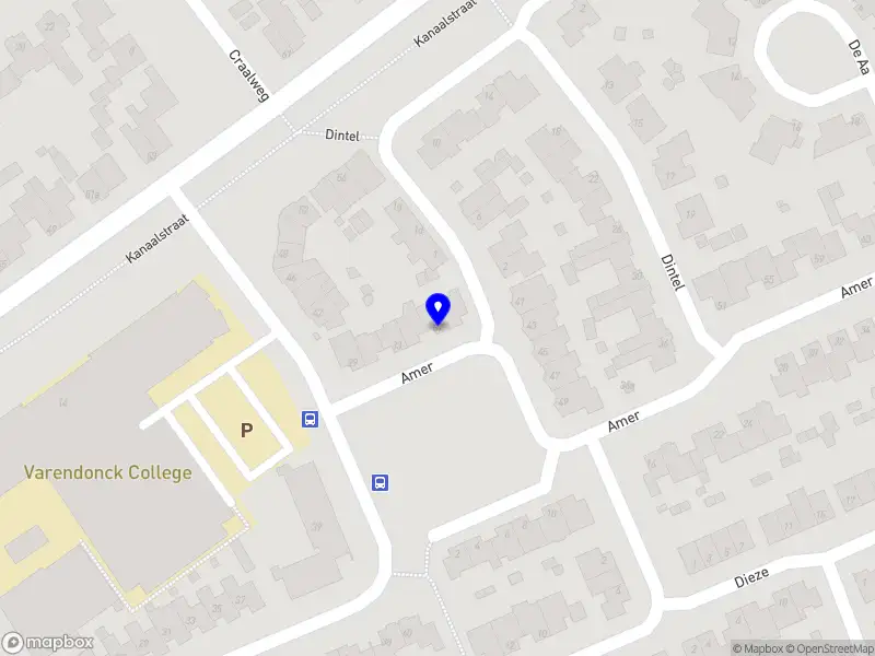 Juliëtte Panhuijzen Horses