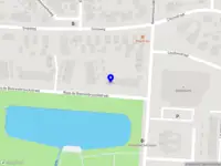 Canine Wall Portraits