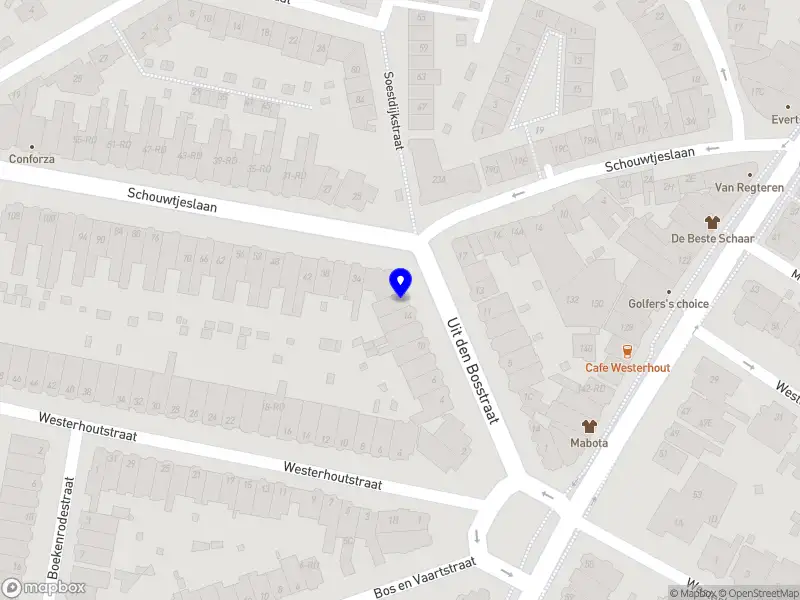 Primula Management B.V.