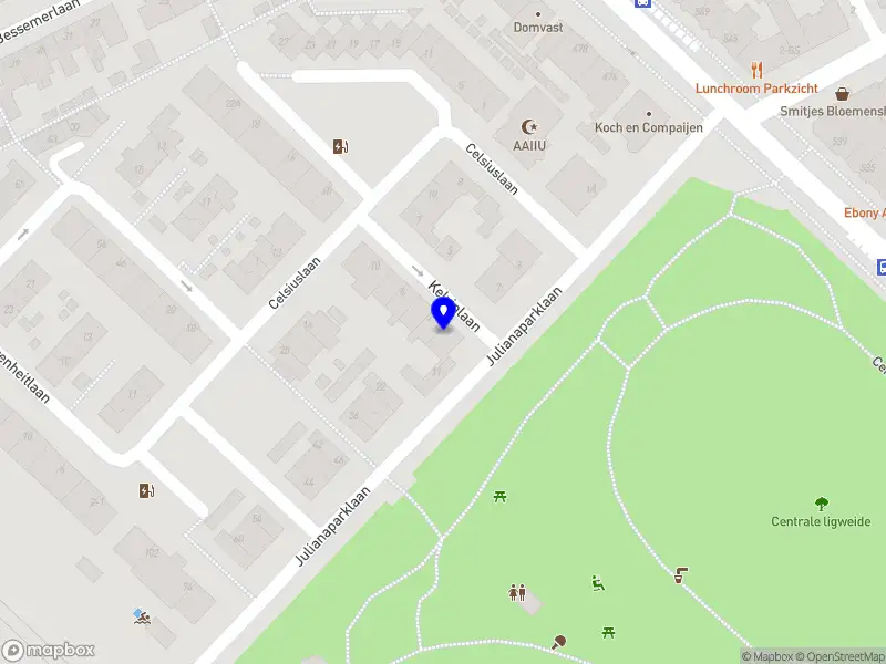 Klusbakfiets de Zwarte Kat