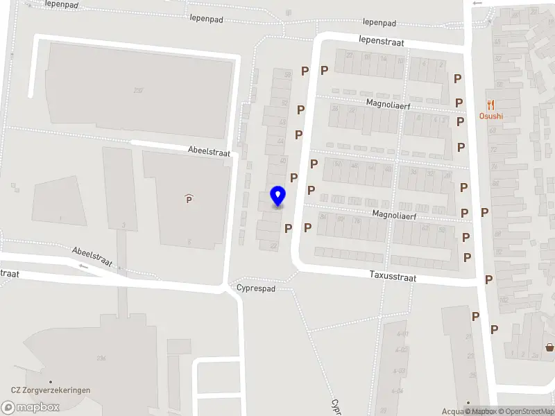 Nick van Dullemen E-commerce