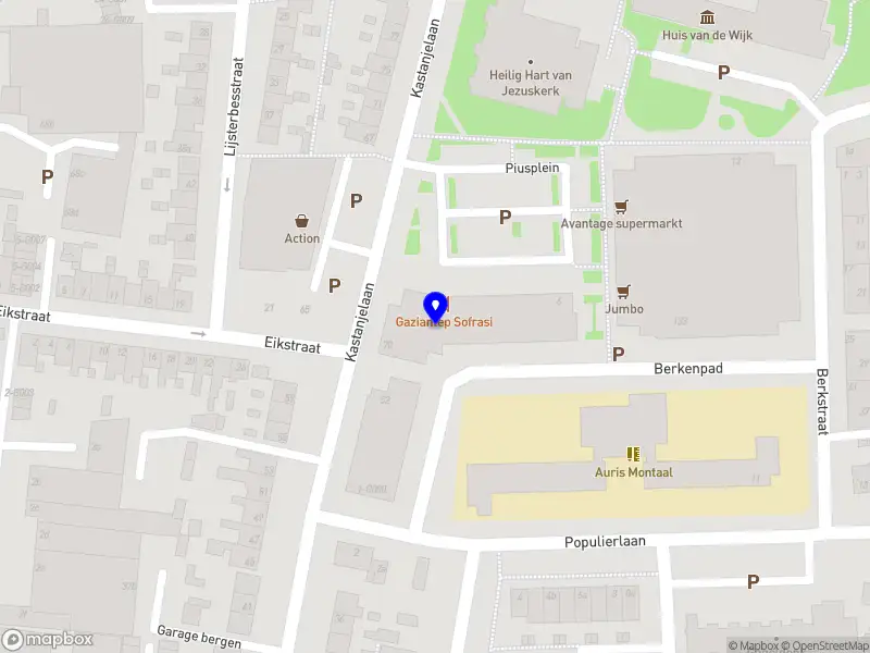 O. Ilgün Holding B.V.