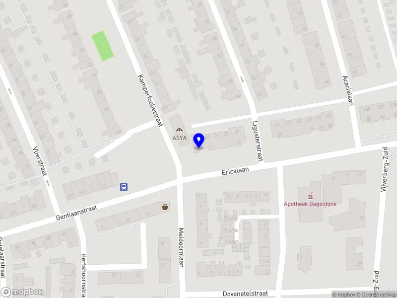 G. Ilgün Holding B.V.