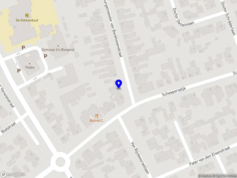 Van Schayik Holding B.V.