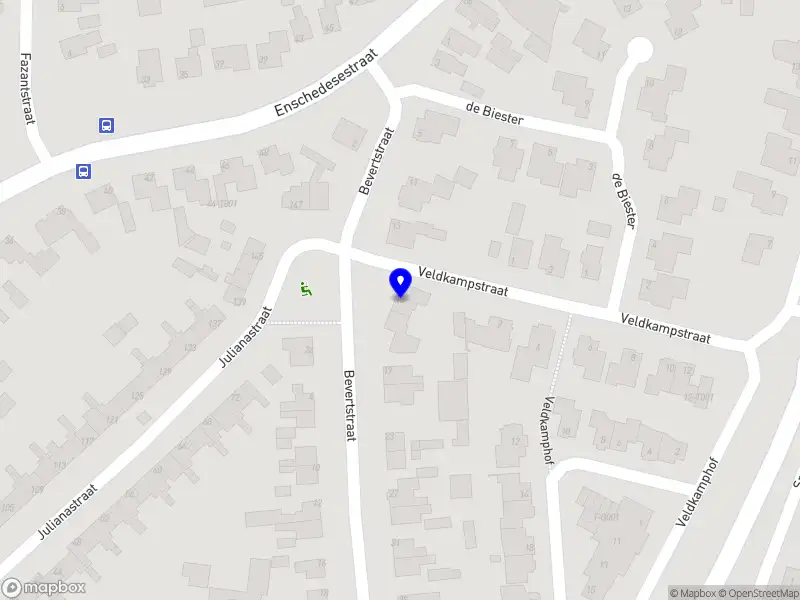 Studiecoaching Nicolien