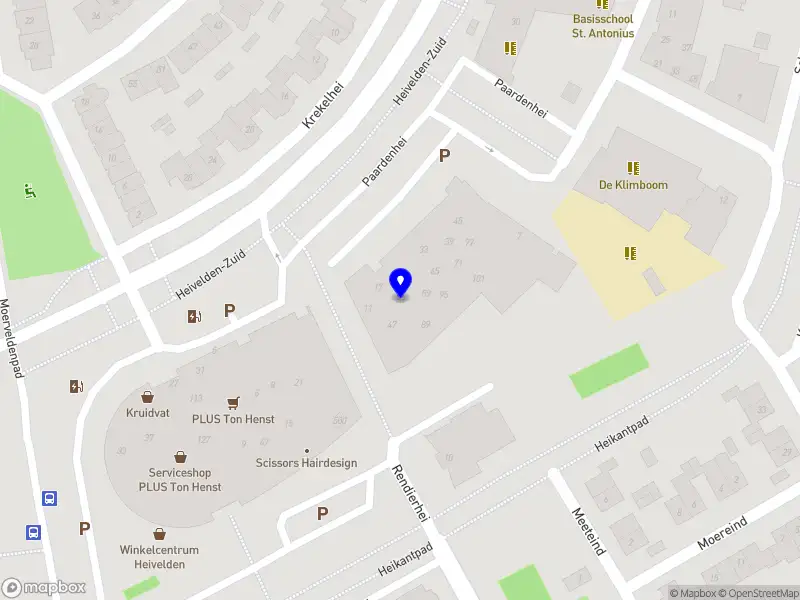 Fred | Mindset & Performance