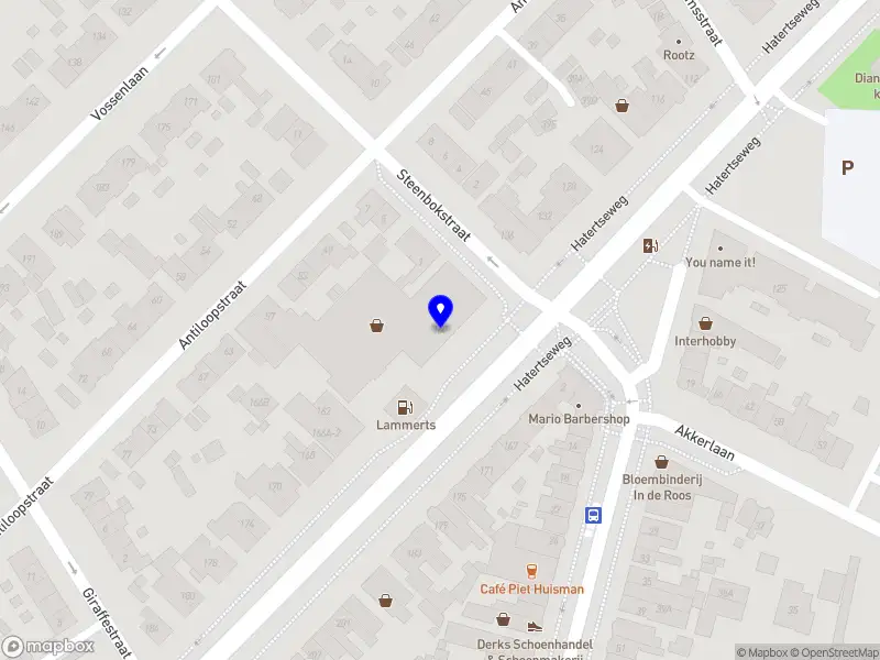 Beheersmaatschappij Lammerts Beleggingen B.V.