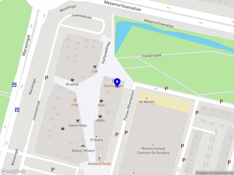 Domino's Arnhem Schuytgraaf B.V.