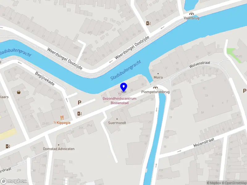 Rinske van de Goor Visie op Zorg