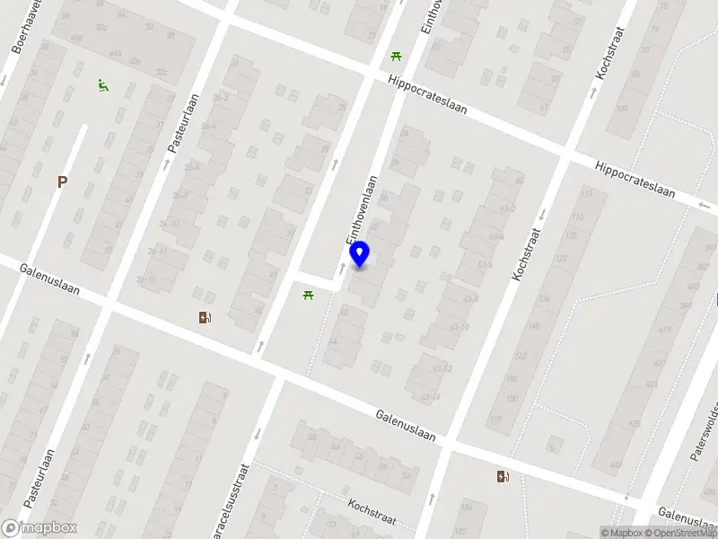 Feenstra Familierecht