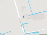 Blankendaal Tulips B.V.