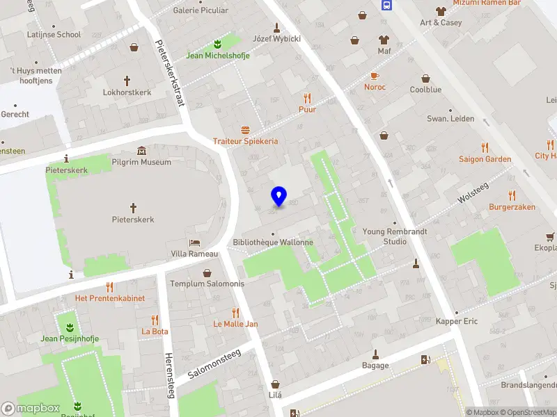 Ines management and advices