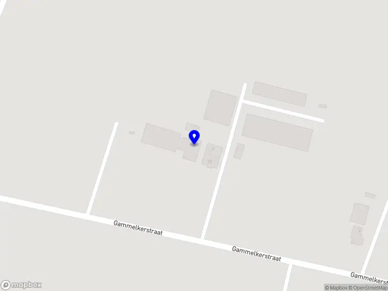 Daffies Choice Deurningen