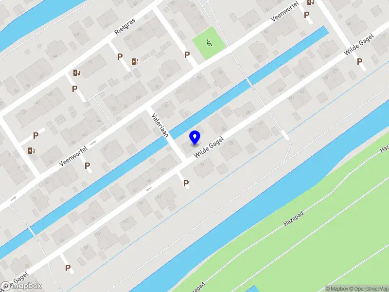 Balistidae Consulting