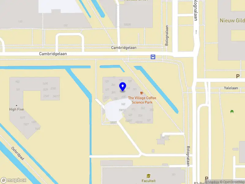 Bowen de Boer - Guitars and Furniture