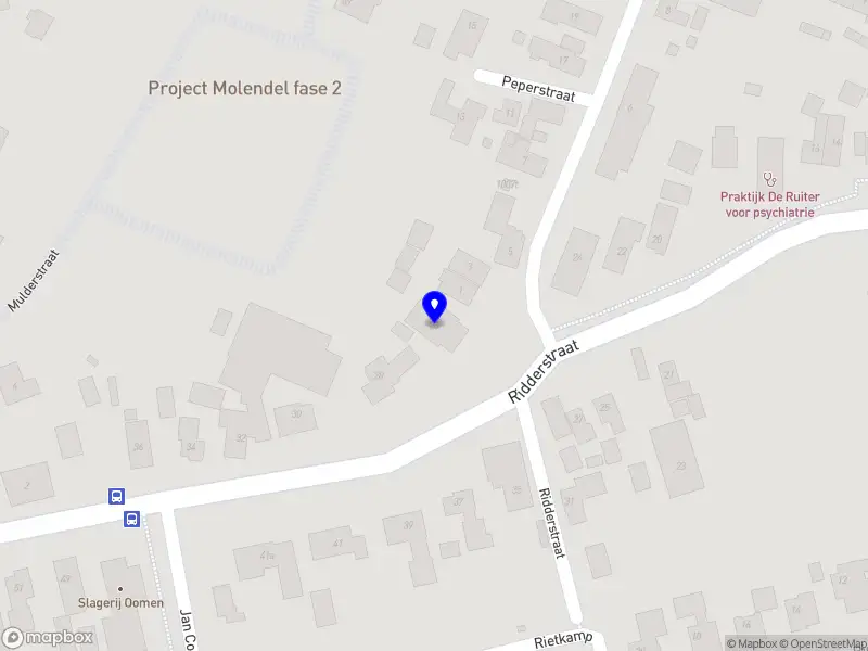 Team Business Support