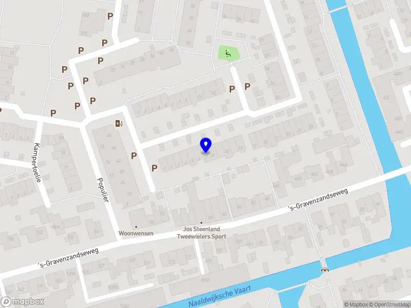 Shamanic healer Marnix