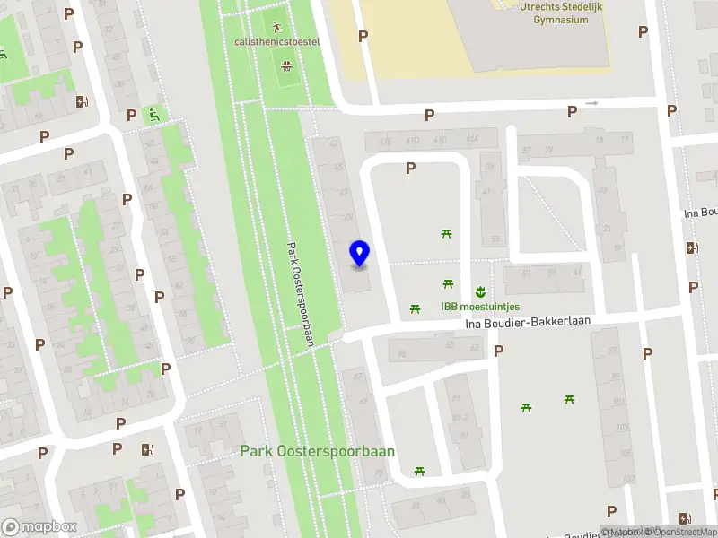 Classic Dutch Ride Utrecht