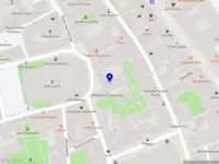 Ines management and advices