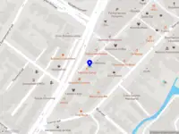 Stichting Paws for Marbella