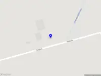 Hondentrimsalon op de Koekoek