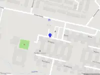 White Blossom Accessories