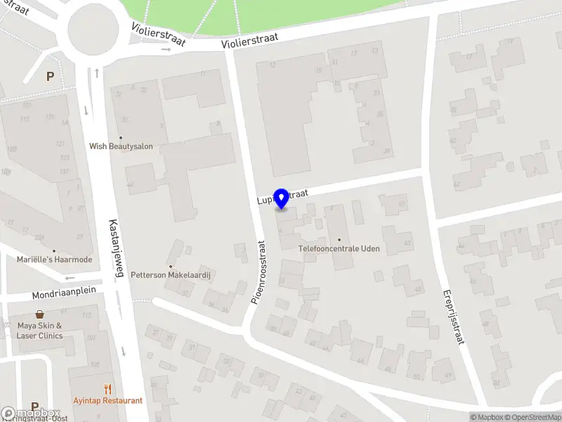 Huisman Groen Holding B.V.