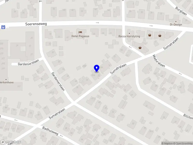 Massage-en healingpraktijk Het Witte Hert