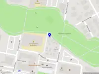 Island Merch Collective