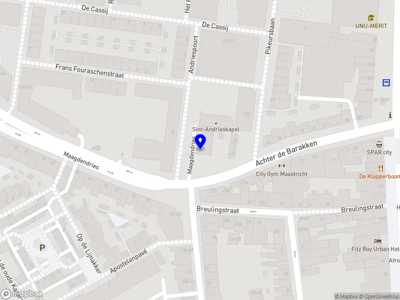NetPro Service B.V. Maastricht