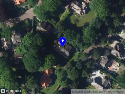 Nieuw bedrijf Chinese School Nederland