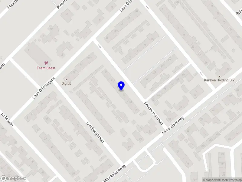 Disco Boomverzorging Hoogerheide