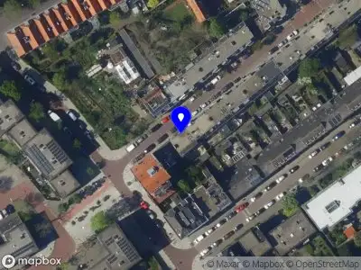 Luisahair 's-Gravenhage