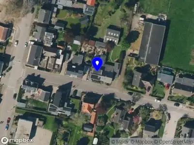 CJFlowers Boven-Leeuwen